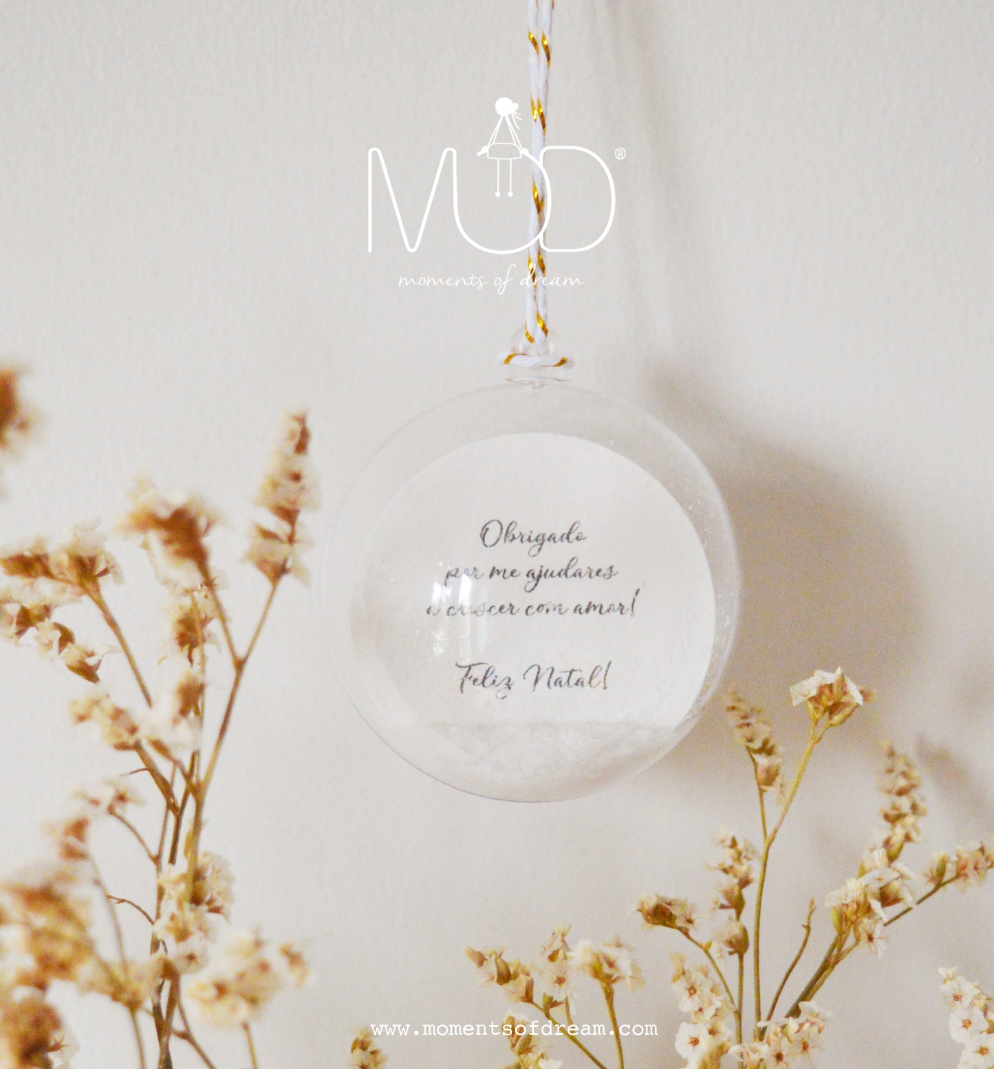 * Natal'24 * - Bola Cristal Educadoras